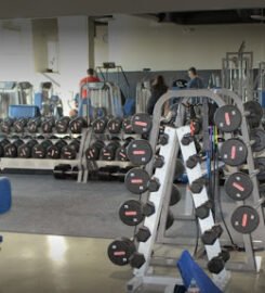 Shawn Phillips Training