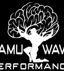 CamuWave Performance