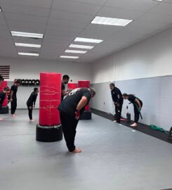 Tiger Schulmann’s Martial Arts (Yonkers  NY)