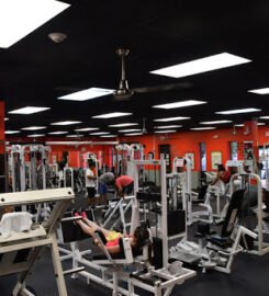 Muscle & Fitness Center