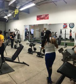 Aesthetic Freaks Nutrition
