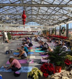 Syracuse Yoga