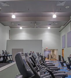 The Y in Druid Hill