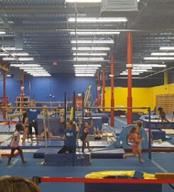International Gold Gymnastics