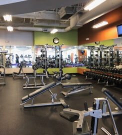 Anytime Fitness