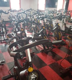 Phoenix Fitness
