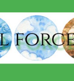 Natural Force Fitness