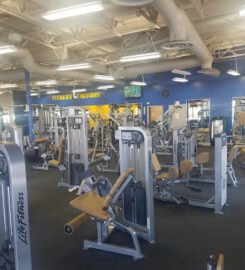 Fitness Factory
