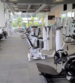 Circuit Academy
