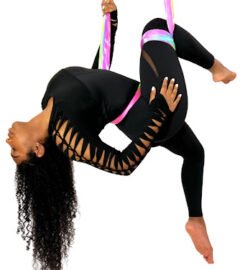 Fly High Dance and Fitness (FLY HIGH FIT)