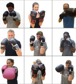 Bee More Boxing