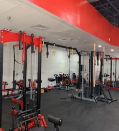 Primal Performance