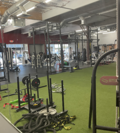 Forget The Gym: In Home Personal Training  At the Gym & Online