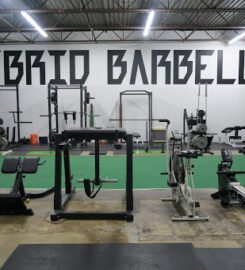 Hybrid Barbell