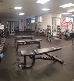 Elite Strength And Fitness
