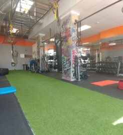 Cure Fitness