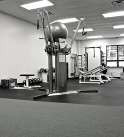 Sports & Fitness Performance