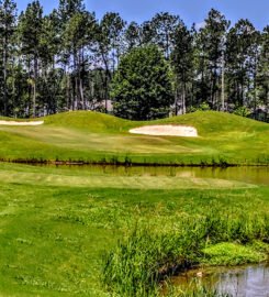 The Club at Pine Forest