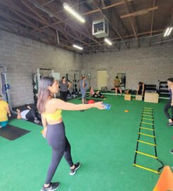 Every Body Training