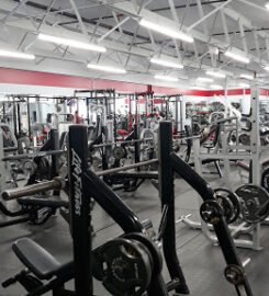 NoNonsense Training & Fitness (NTF)