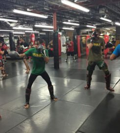 The Jungle MMA and Fitness