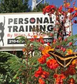 Personal Training By Miles & CO