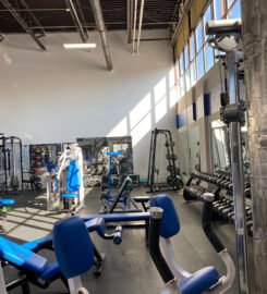 Fendi Fitness