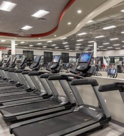 Mountainside Fitness Avondale