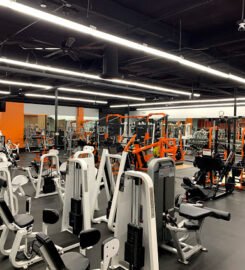 Muscle Factory Gym