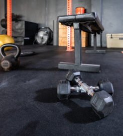 The Athleticus