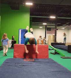 Albany Ninja Lab