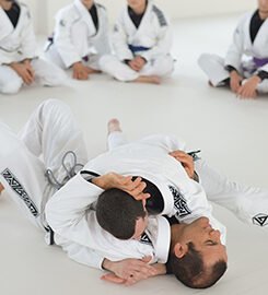 Gracie Jiu Jitsu Mesa
