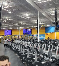 Fitness Connection