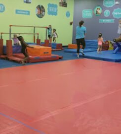 The Little Gym of Fort Myers