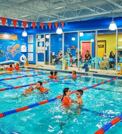 Goldfish Swim School – North Canton