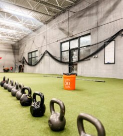 Renegade Fitness Training