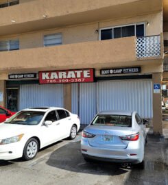 Millennium Martial Arts Academy II
